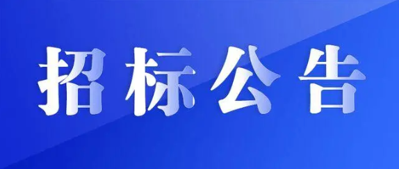 江西長運物流綜合服務平臺采購項目競爭性磋商公告